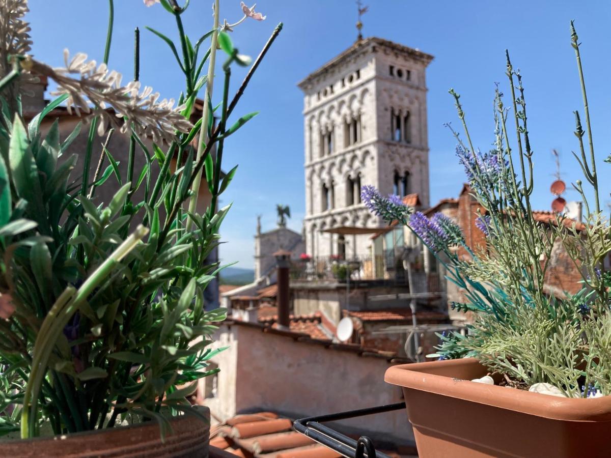 Terrazza San Michele - Affitti Brevi Italia Daire Lucca Dış mekan fotoğraf
